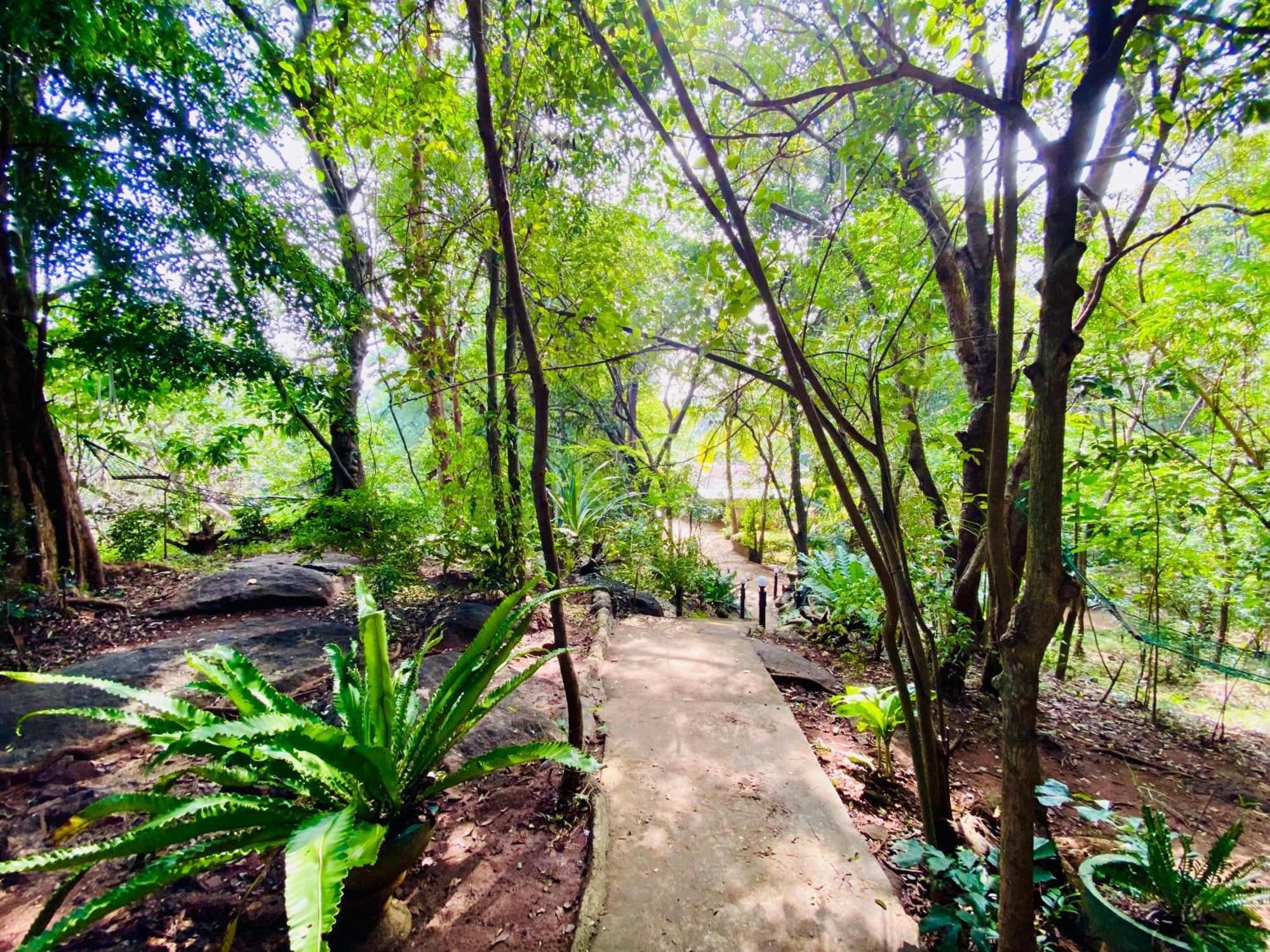 Green House Resort Sigiriya Exterior foto